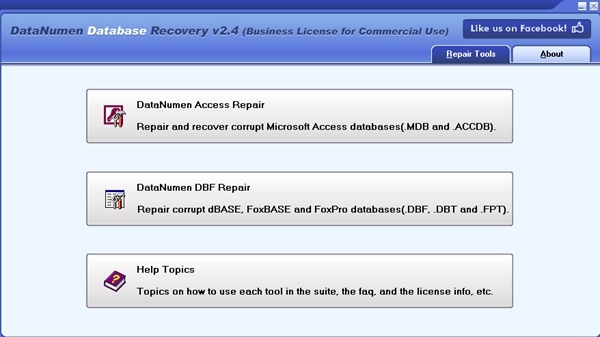 DataNumen Database Recovery软件图片1