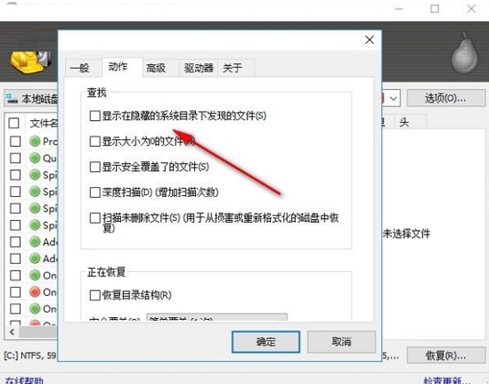 Recuva Business Edition(硬盘数据恢复软件)中文版v1.53.1087下载插图5