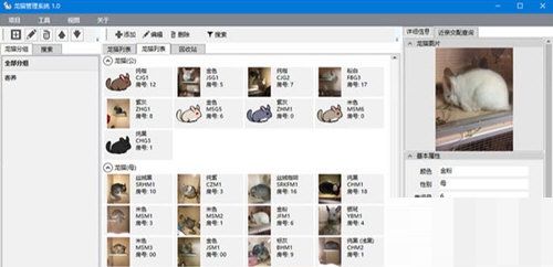 龙猫管理软件图片