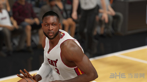 NBA2K15热火之魂韦德面补 下载