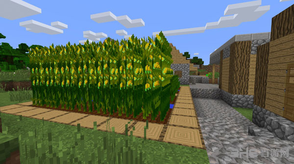 我的世界 v1.11.2简单玉米种植MOD 下载